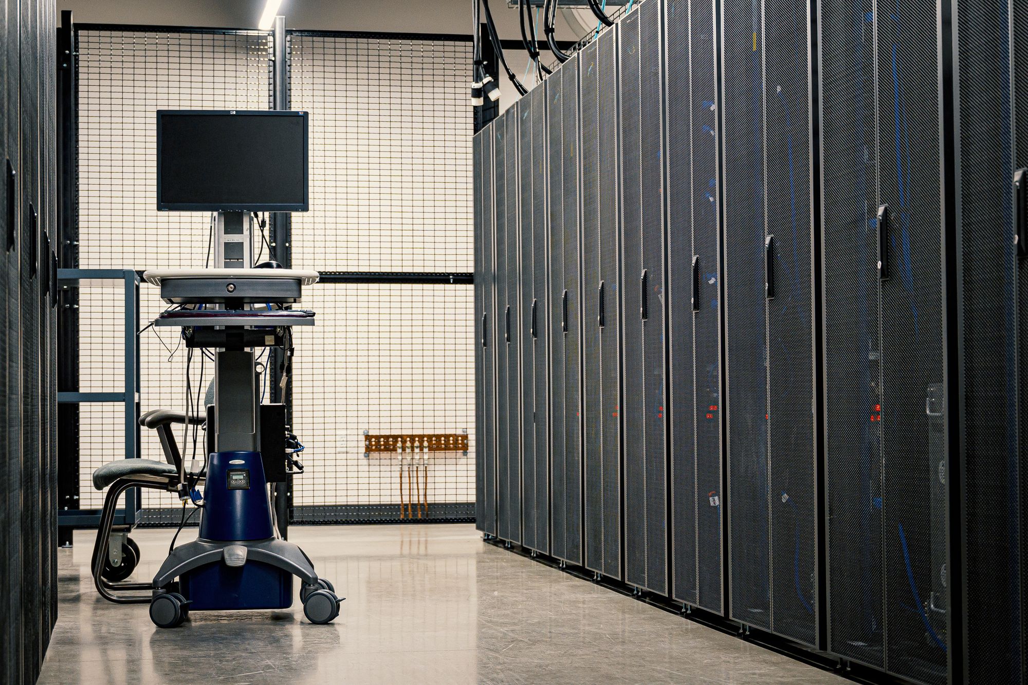 Caged server racks in a secured data centre